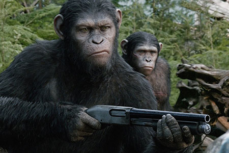 ape