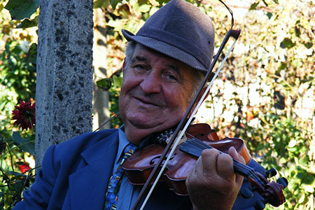fiddle
