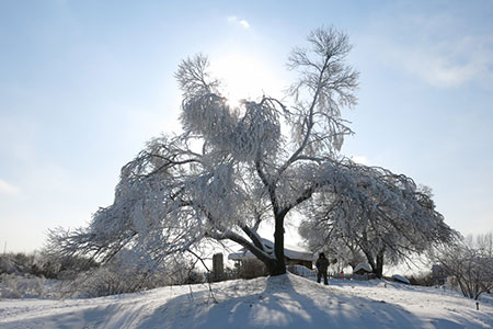 frost