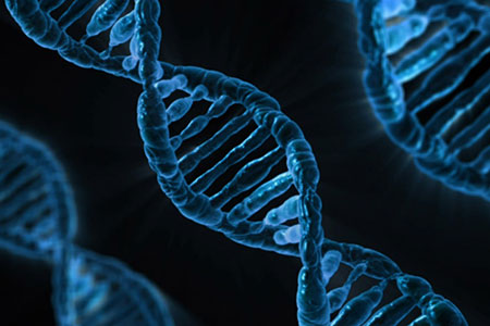 gene