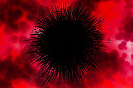 germ