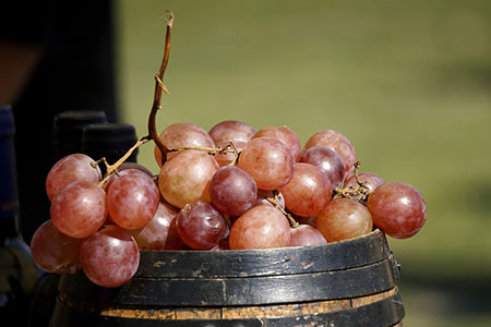 grape