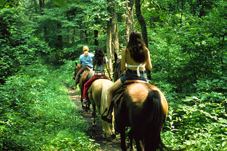 horseback