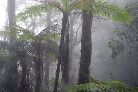humid