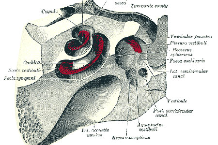 inner