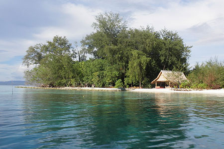 island