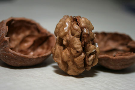 kernel