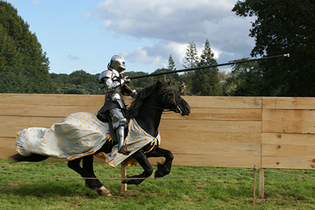 knight