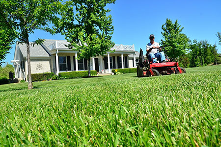 lawn