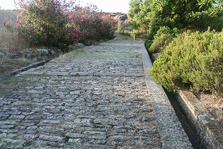 lead