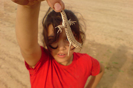 lizard