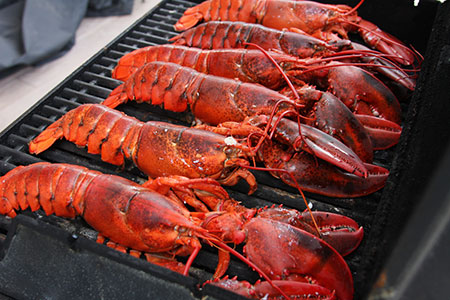 lobster