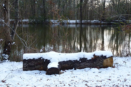 log