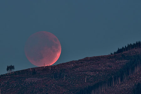 lunar