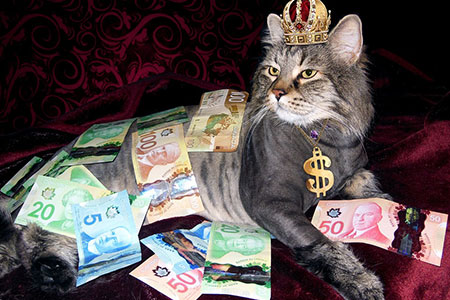 luxury