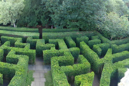 maze