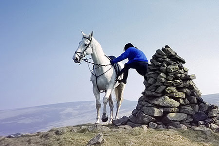 mount