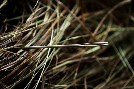 needle