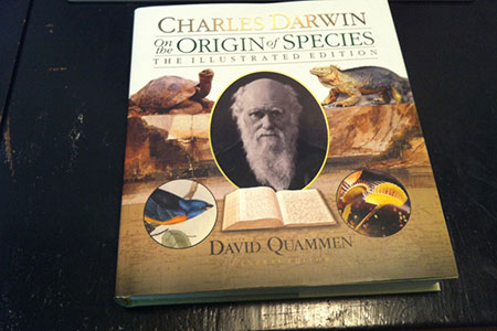 origin