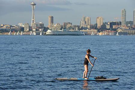 paddle