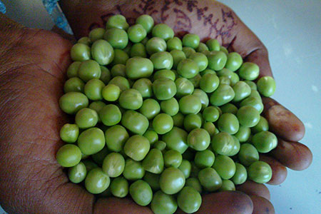 pea