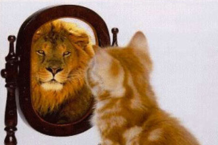 perception