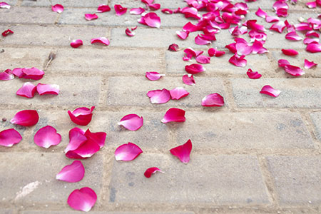 petal