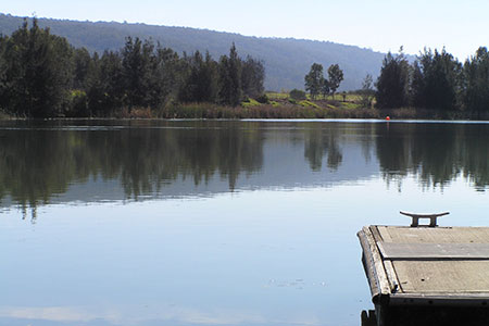 placid