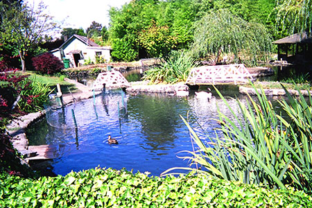 pond