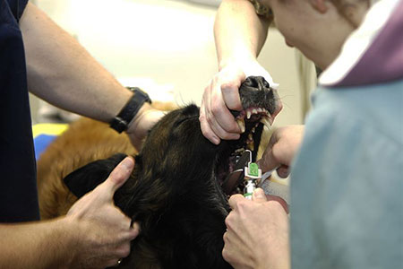 procedure