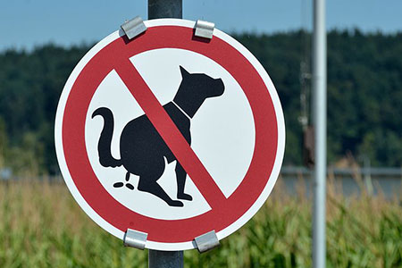 prohibit