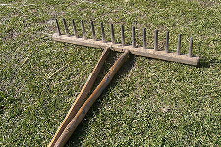 rake