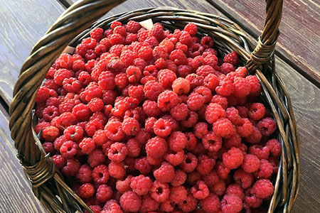 raspberry