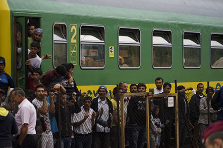 refugee
