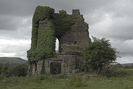 remains