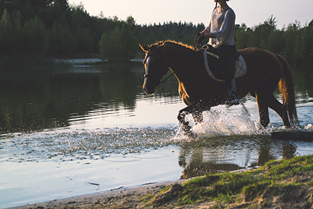 ride