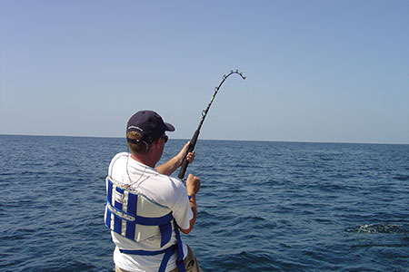 rod