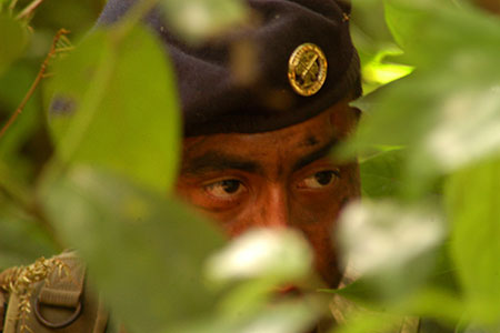 scout