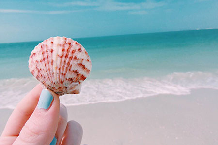 shell