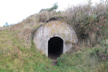 shelter