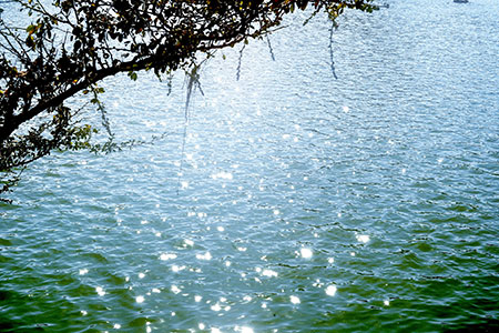 shimmer
