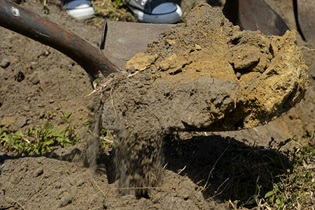 shovel