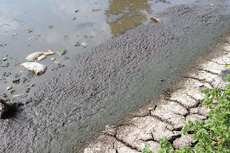 sludge
