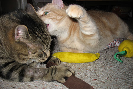 smack