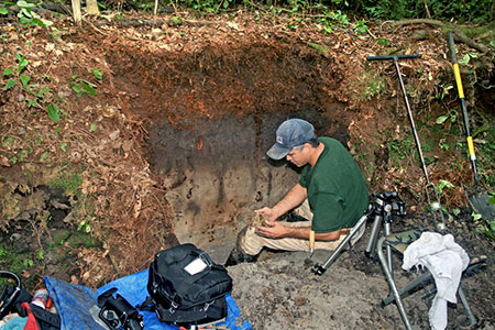soil