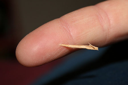 splinter