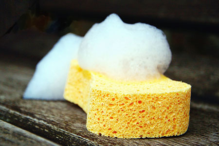 sponge