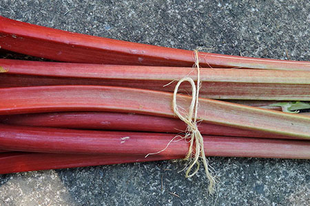 stem