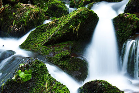 stream