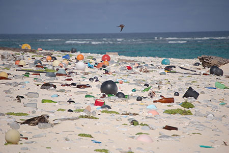 strew (strewn, strewn)